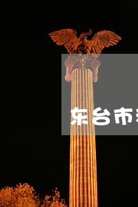 东台市私人律师在线律师咨询