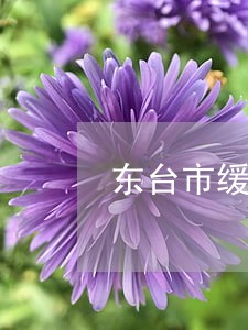 东台市缓刑辩护律师收费 东台市缓刑辩护律师收费