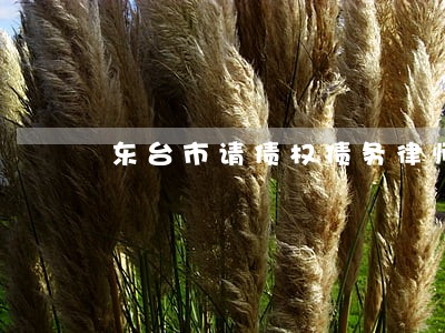 东台市请债权债务律师多少钱