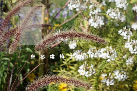 东台建筑工程律师 东台建筑工程律师
