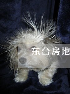 东台房地产律师找谁好 东台房地产律师找谁好