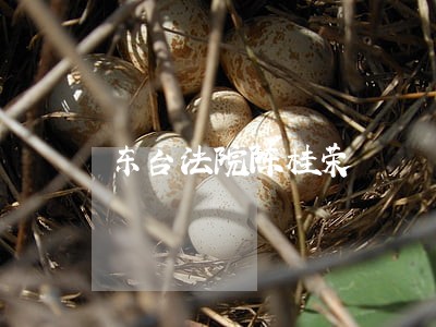 东台法院陈桂荣