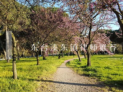 东台溱东镇律师推荐 东台溱东镇律师推荐
