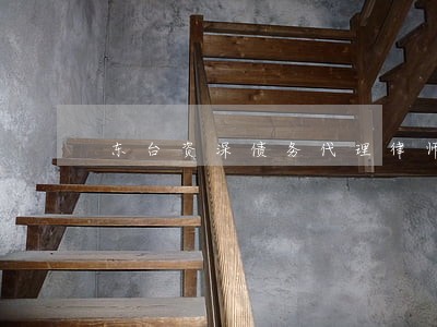 东台资深债务代理律师 东台资深债务代理律师