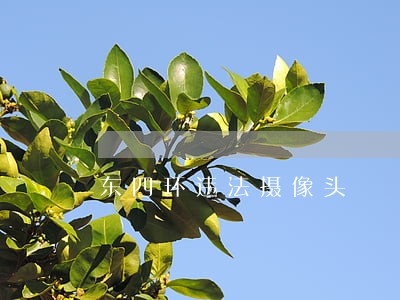 东四环违法摄像头 东四环违法摄像头