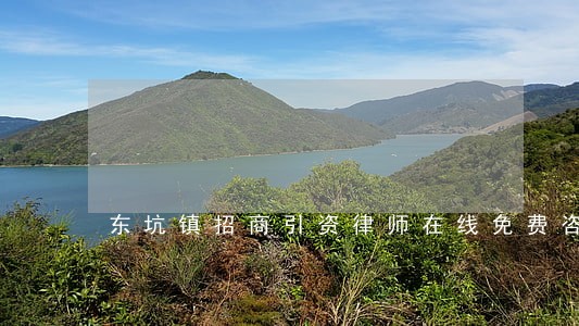 东坑镇招商引资律师在线免费咨询 东坑镇招商引资律师在线免费咨询