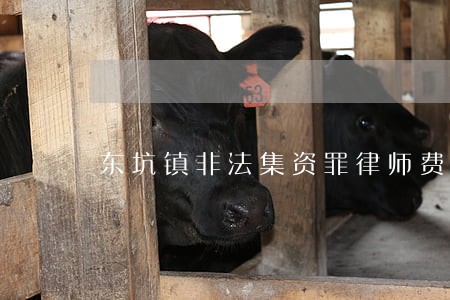 东坑镇非法集资罪律师费用 东坑镇非法集资罪律师费用