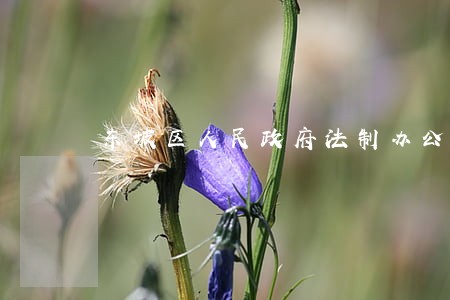 东坡区人民政府法制办公室地址 东坡区人民政府法制办公室地址