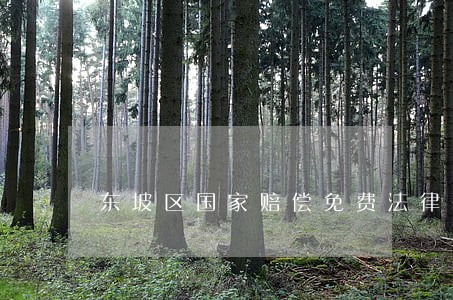 东坡区国家赔偿免费法律咨询 东坡区国家赔偿免费法律咨询