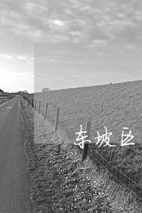 东坡区民事公益诉讼律师 东坡区民事公益诉讼律师