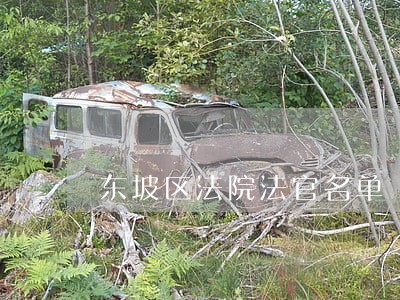 东坡区法院法官名单