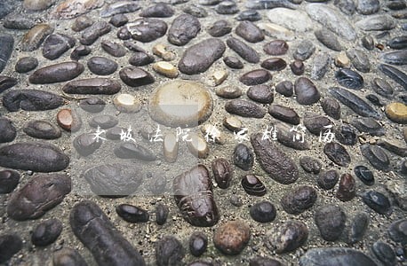 东坡法院徐家雄简历 东坡法院徐家雄简历