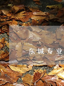 东城专业票据律师服务 东城专业票据律师服务