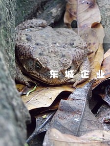 东城企业内部纠纷律师事务所排名 东城企业内部纠纷律师事务所排名