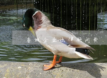 东城企业法律顾问费 东城企业法律顾问费