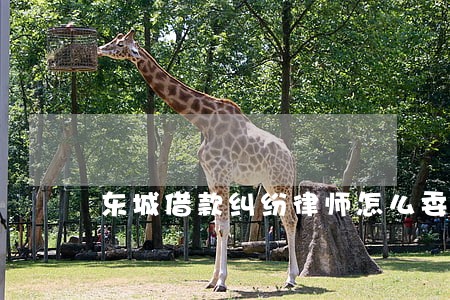 东城借款纠纷律师怎么委托 东城借款纠纷律师怎么委托