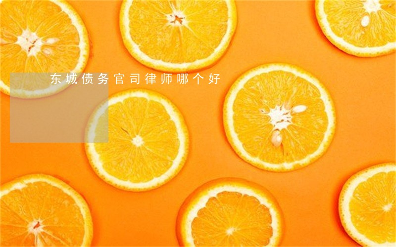 东城债务官司律师哪个好