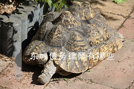 东城债务律师有哪些 东城债务律师有哪些