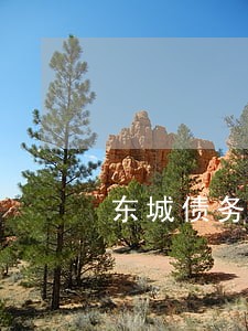 东城债务讨回律师推荐 东城债务讨回律师推荐