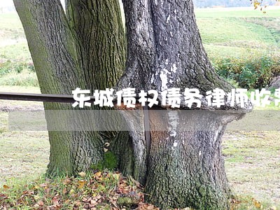 东城债权债务律师收费 东城债权债务律师收费