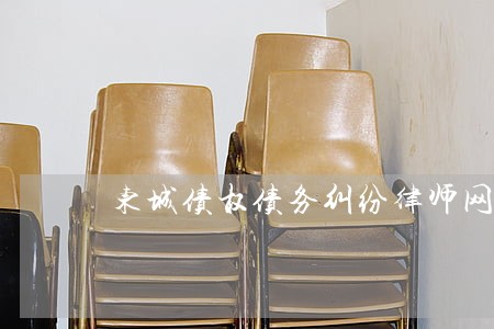 东城债权债务纠纷律师网站 东城债权债务纠纷律师网站