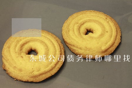 东城公司债务律师哪里找 东城公司债务律师哪里找