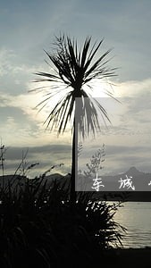 东城公司债务律师推荐