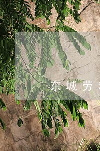 东城劳动法律顾问律师咨询哪里有 东城劳动法律顾问律师咨询哪里有