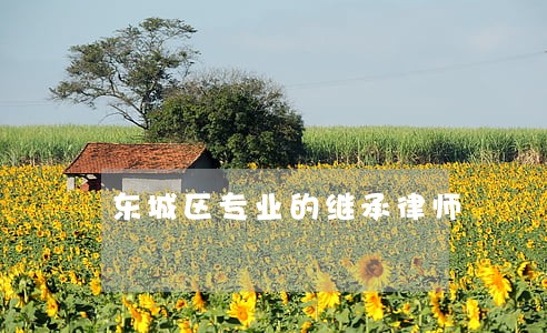 东城区专业的继承律师 东城区专业的继承律师