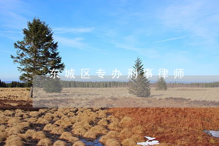 东城区专办刑事律师