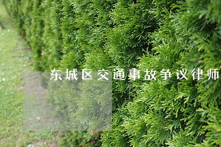 东城区交通事故争议律师 东城区交通事故争议律师