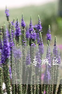 东城区代理债权债务纠纷律师 东城区代理债权债务纠纷律师