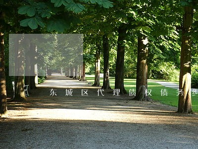 东城区代理债权债务纠纷律师团队 东城区代理债权债务纠纷律师团队