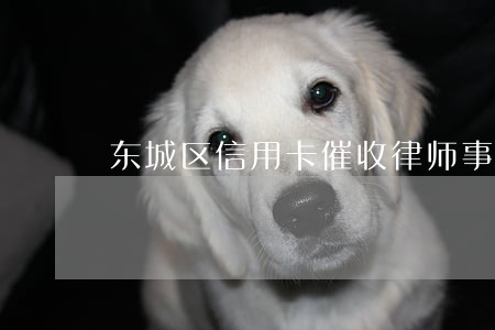 东城区信用卡催收律师事务所 东城区信用卡催收律师事务所