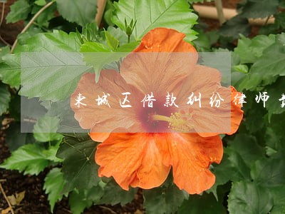 东城区借款纠纷律师费怎么算 东城区借款纠纷律师费怎么算