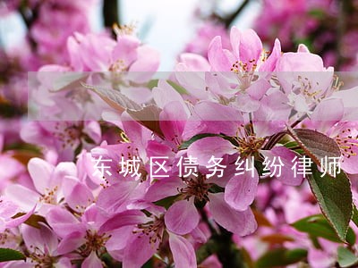 东城区债务纠纷律师 东城区债务纠纷律师