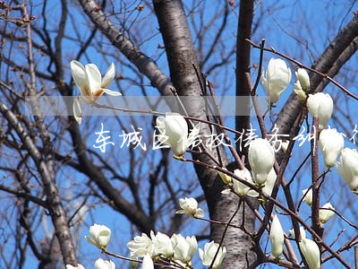 东城区债权债务纠纷律师电话咨询 东城区债权债务纠纷律师电话咨询