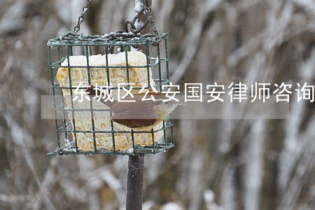 东城区公安国安律师咨询电话