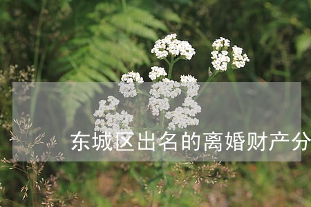 东城区出名的离婚财产分割律师费 东城区出名的离婚财产分割律师费