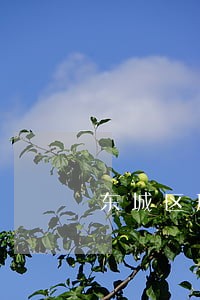 东城区刑事案件聘请律师费用 东城区刑事案件聘请律师费用