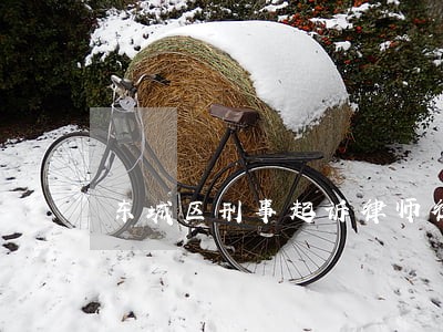 东城区刑事起诉律师律所 东城区刑事起诉律师律所