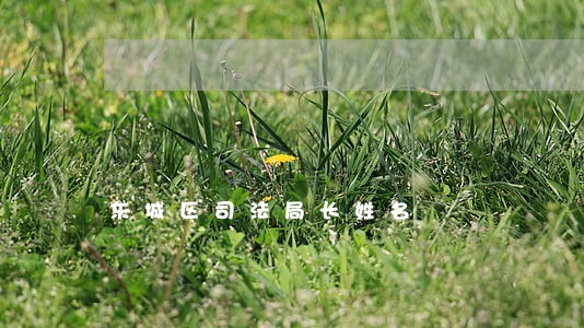 东城区司法局长姓名