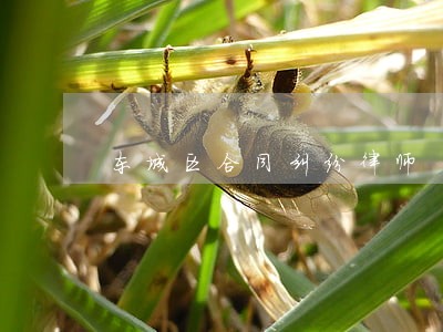 东城区合同纠纷律师 东城区合同纠纷律师
