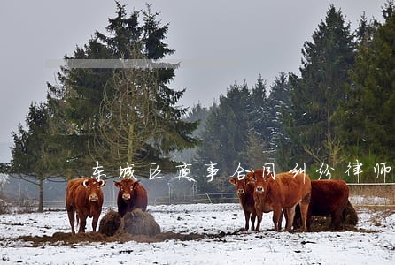 东城区商事合同纠纷律师收费 东城区商事合同纠纷律师收费