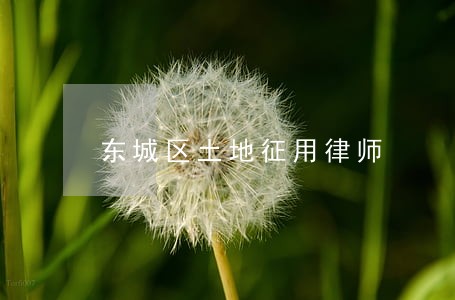 东城区土地征用律师
