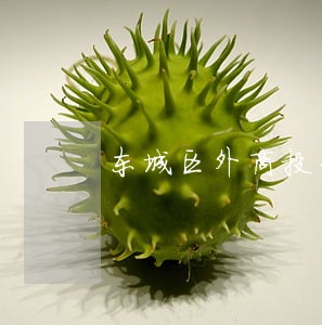 东城区外商投资律师咨询电话 东城区外商投资律师咨询电话