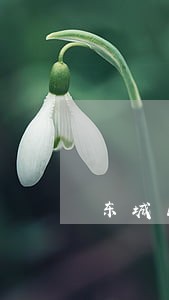 东城区建筑工程尾款律师咨询免费 东城区建筑工程尾款律师咨询免费