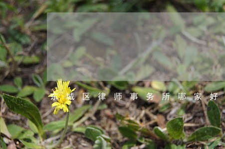 东城区律师事务所哪家好 东城区律师事务所哪家好