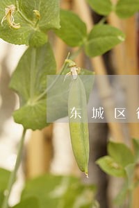东城区律师团排行榜
