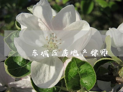 东城区房地产律师 东城区房地产律师